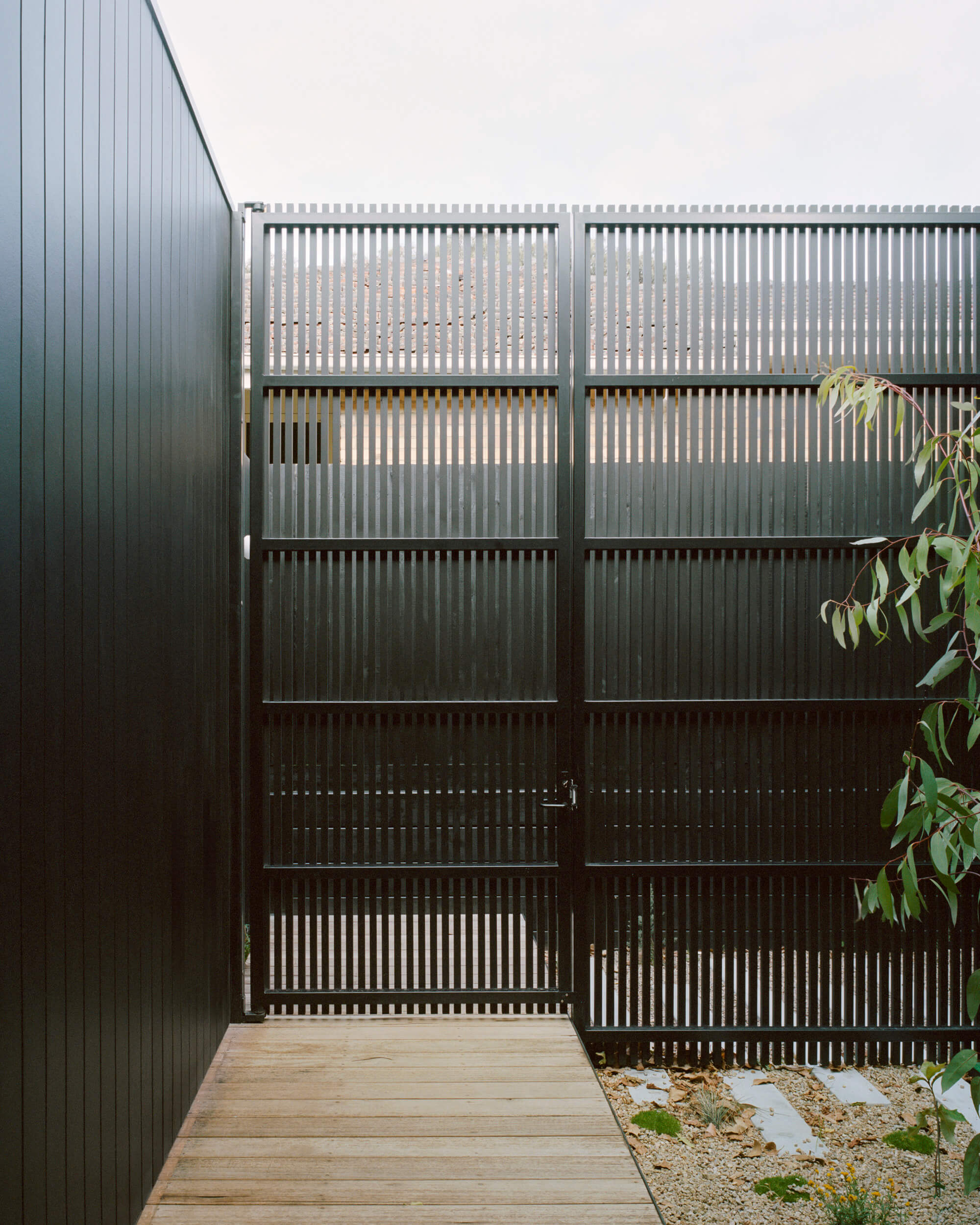 Battened Entry Courtyard set within Native Coastal Garden. Ellul Architecture. Sandringham House